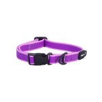 Rogz Dog Amphibian Classic Collar Medium Purple
