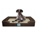 Lux Orthopedic Dog Bed - Small