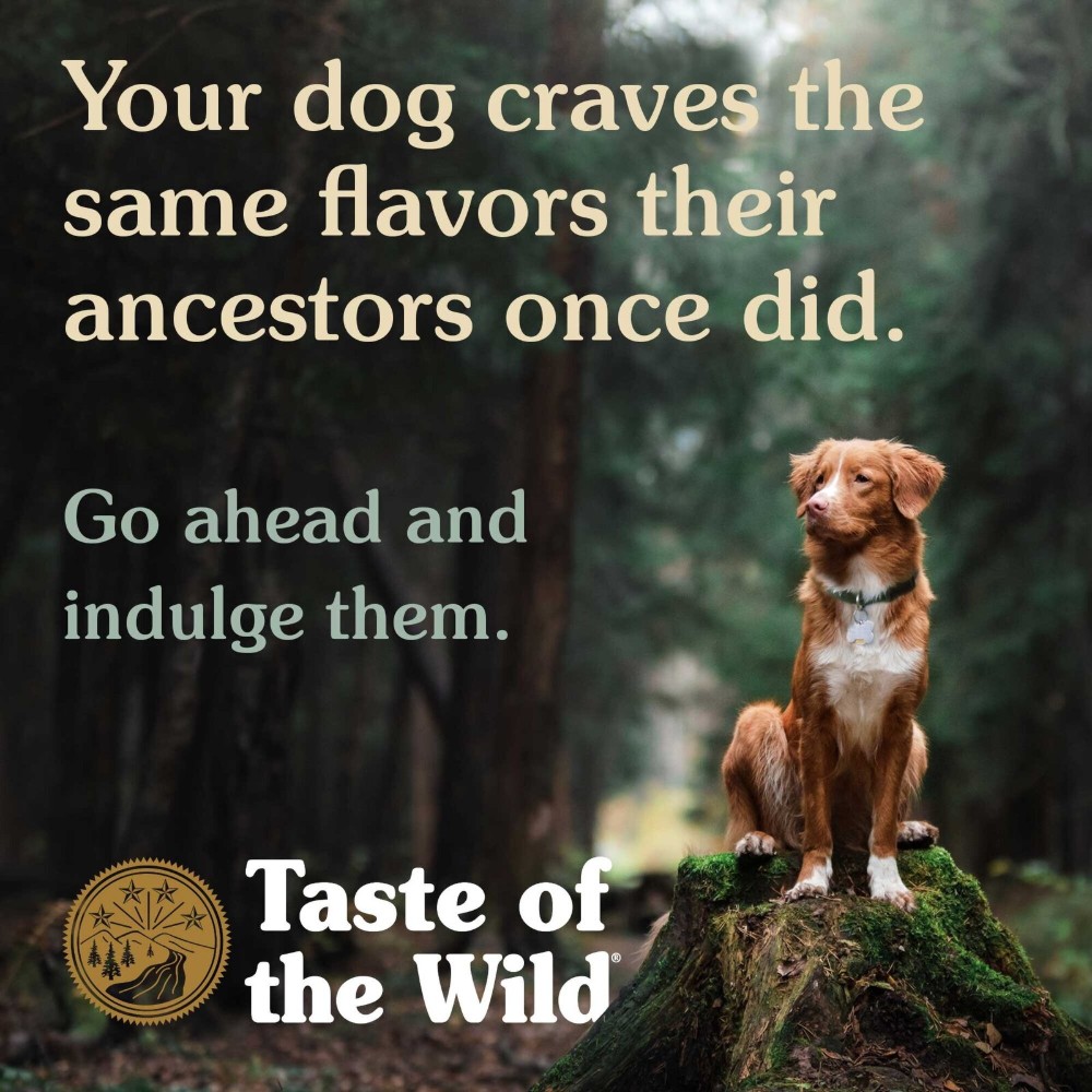 buy-taste-of-the-wild-canine-high-prairie-dry-food-online_3.jpg