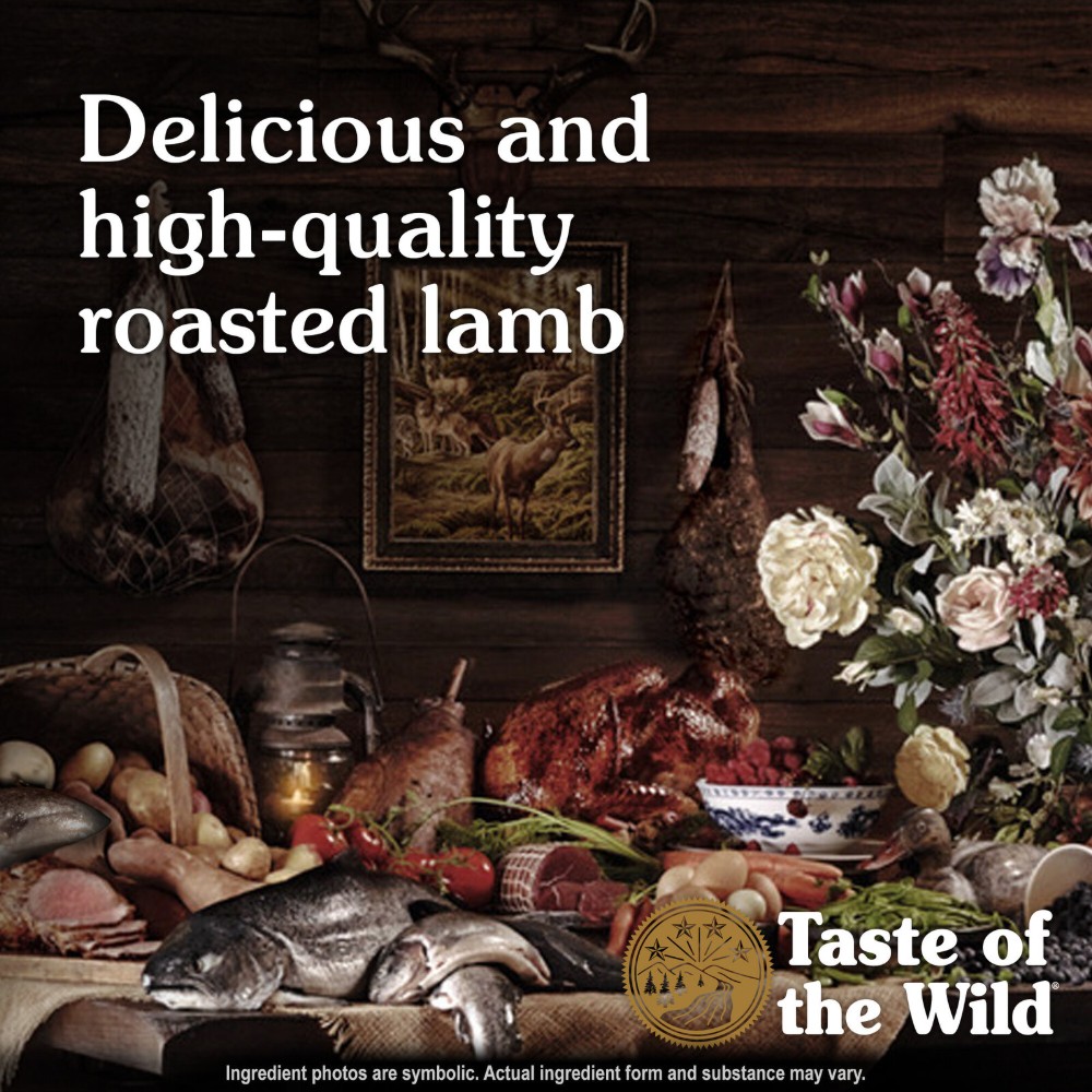 buy-taste-of-the-wild-canine-sierra-mountain-dry-food-online_3.jpg